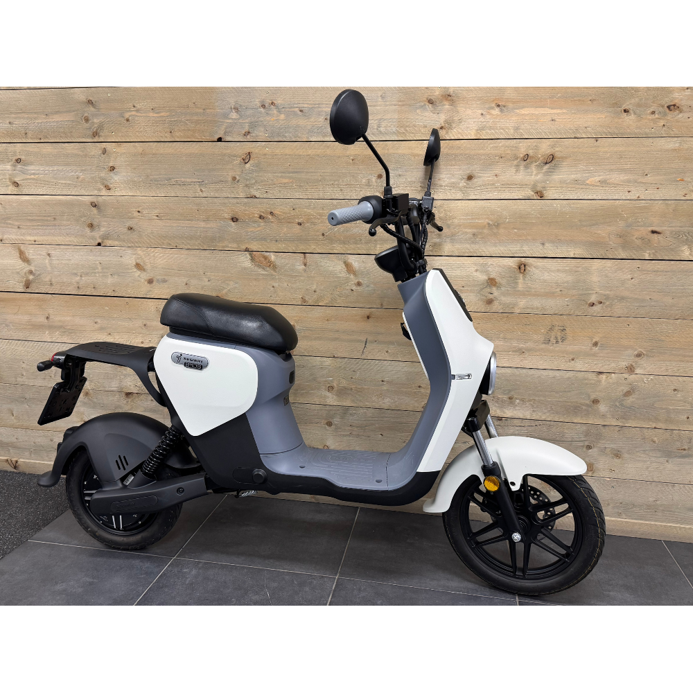 Segway B110S Darkgrey/White E-scooter 45km 2024